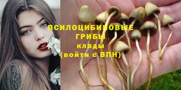 соль курить ск Алексеевка