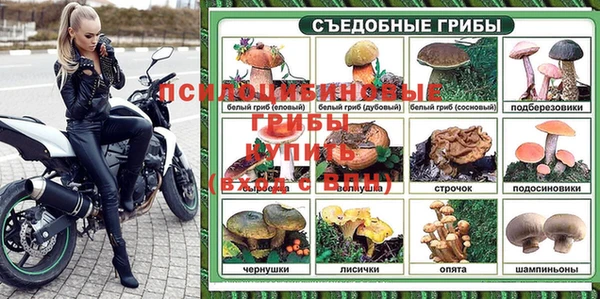 СК Абдулино